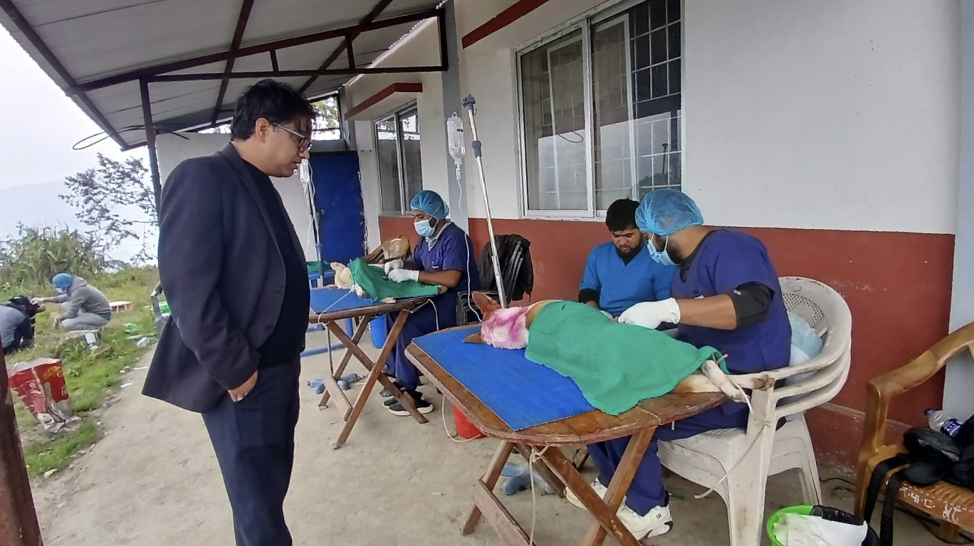 दुर्घटनाको जोखिम बढेपछि सामुदायिक कुकुरको बन्ध्याकरण गरिँदै